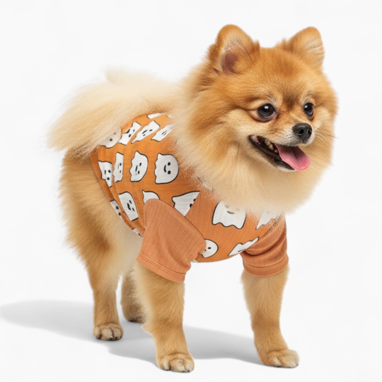 Repper - Dog Wool  Sweater