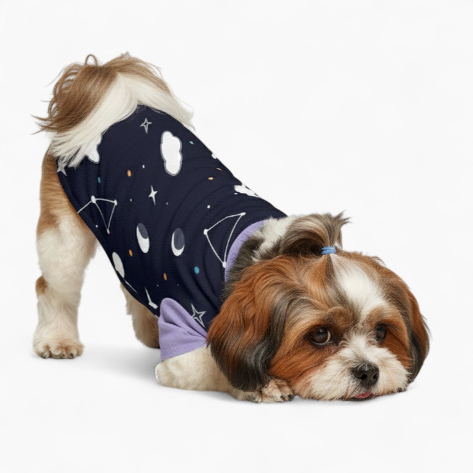 Murphy - Dog Wool Sweater