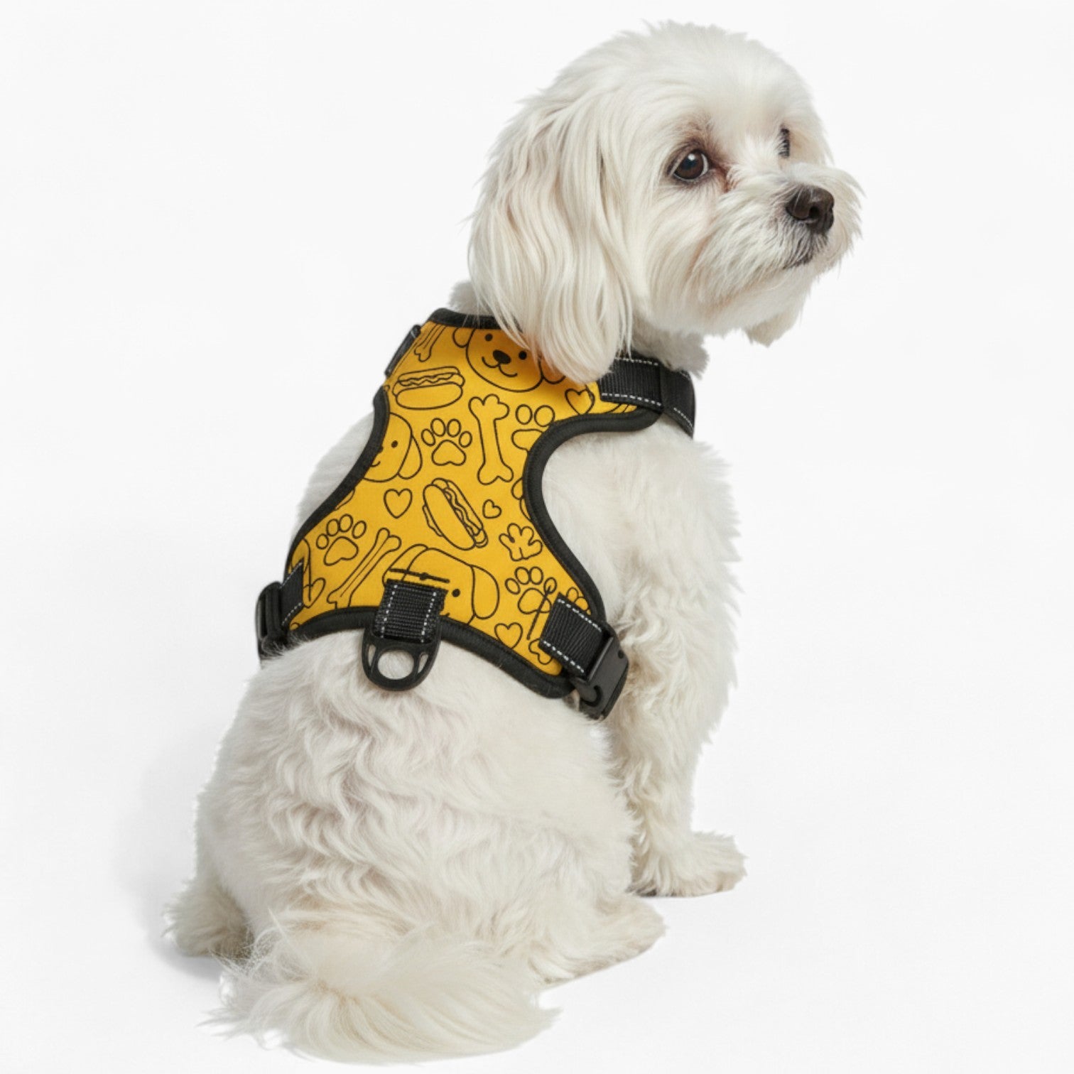 Milo - NO-PULL Dog Harness & Leash Set | for small and large Dogs