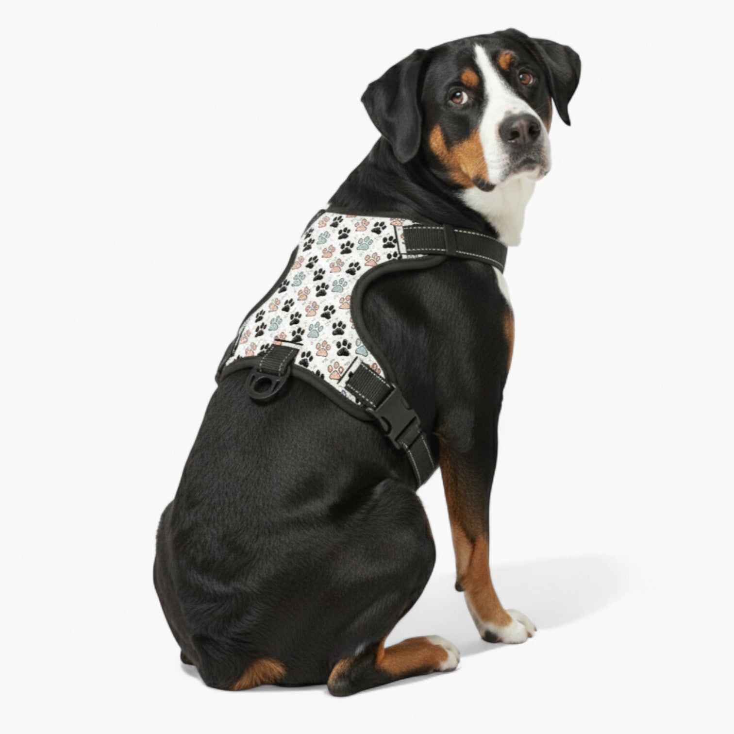 Baily  - NO-PULL Dog Harness & Leash Set | for small and large Dogs