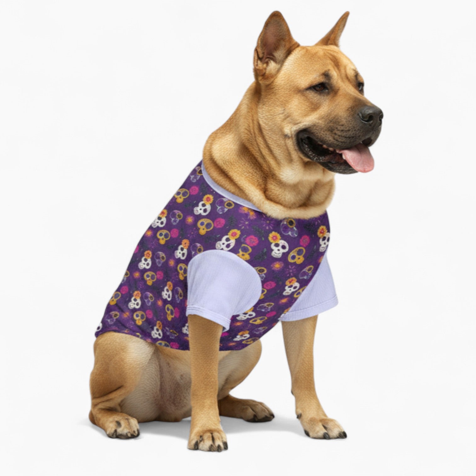 Rocco - Dog Wool Sweater