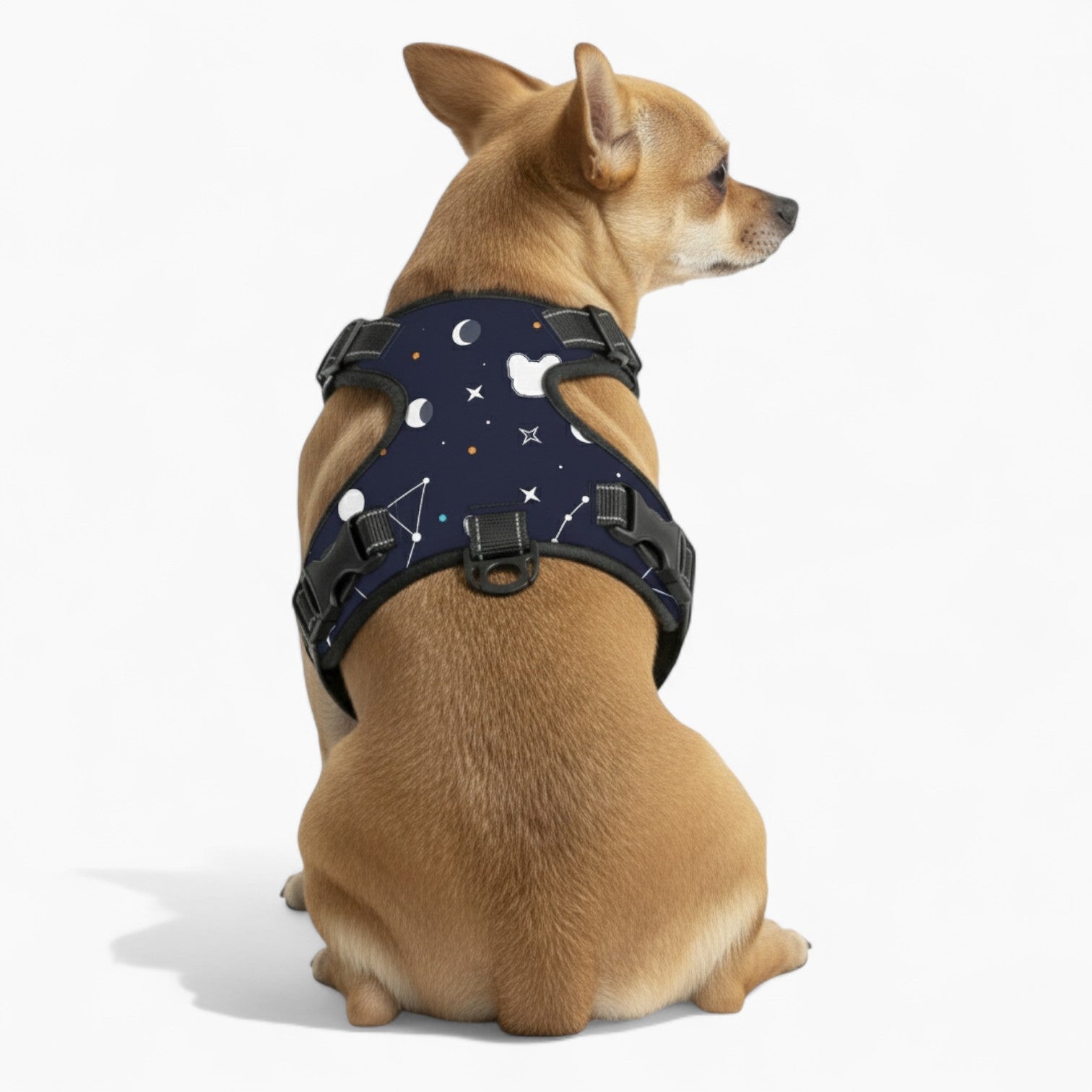 Apollo - NO-PULL Dog Harness & Leash Set | for small and large Dogs