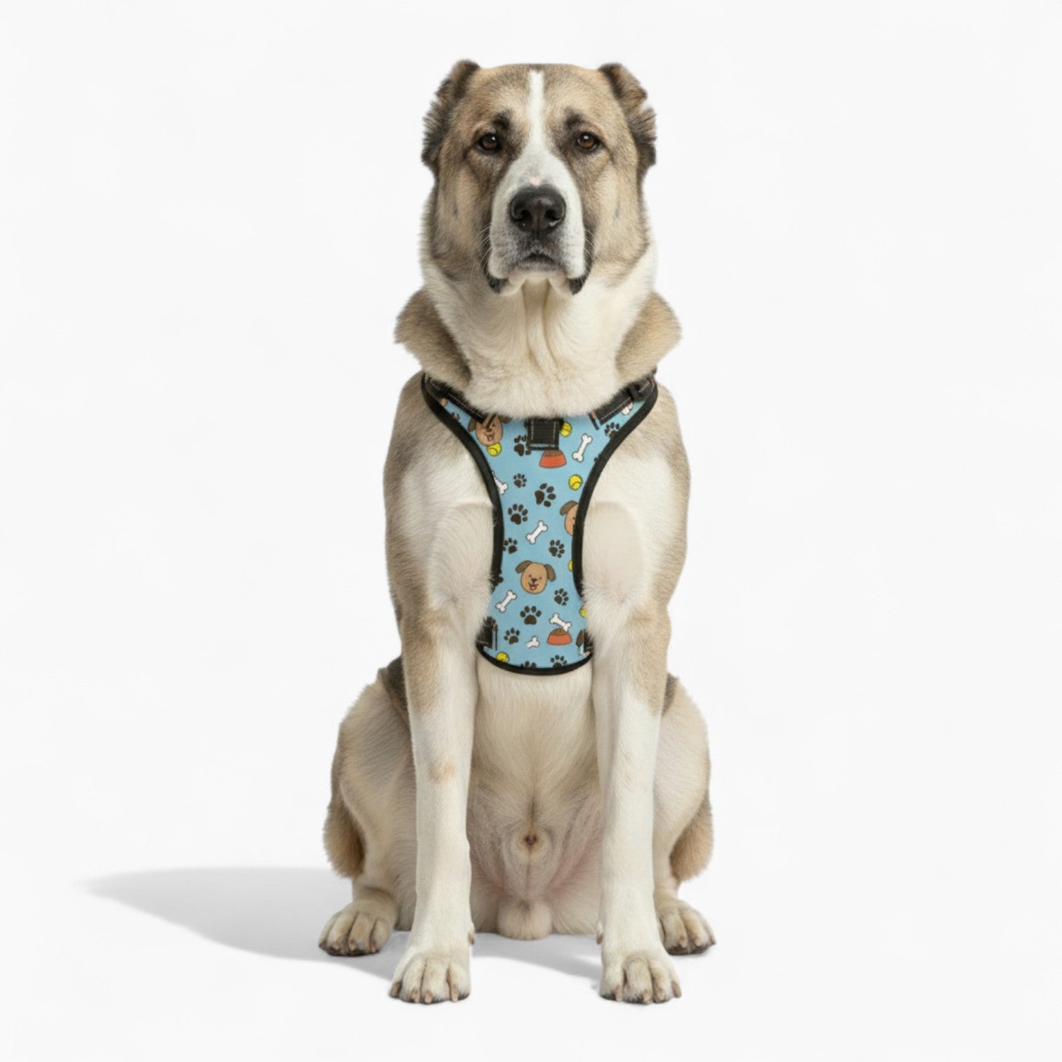 Layla  - NO-PULL Dog Harness & Leash Set | for small and large Dogs