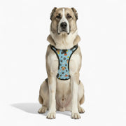 Layla  - NO-PULL Dog Harness & Leash Set | for small and large Dogs