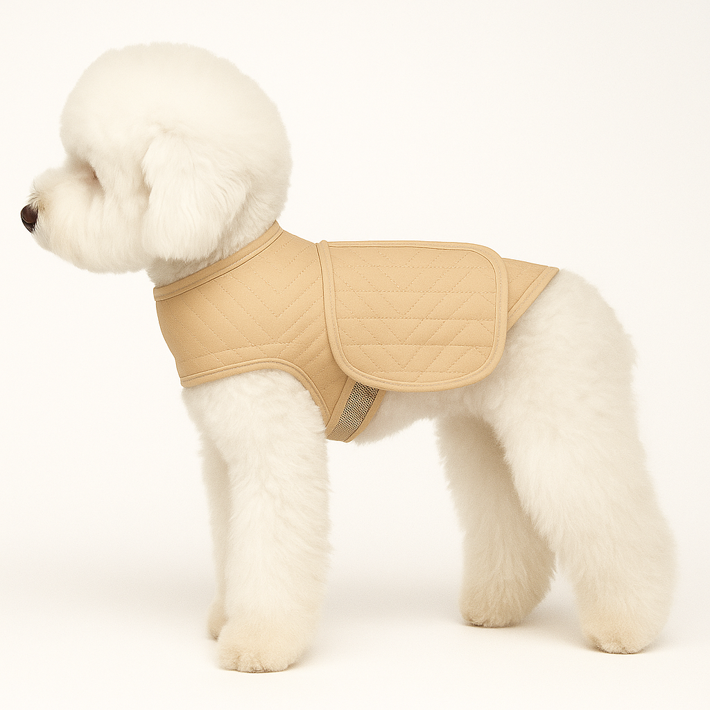 dog jacket anxiety