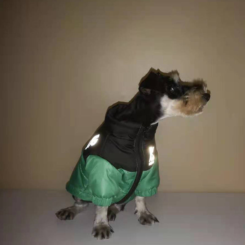 dog jacket winter​