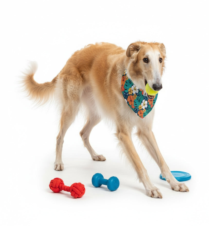 Mila - Stylish Dog Bandana