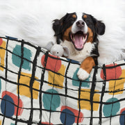 Dany - Cozy Dog Blanket