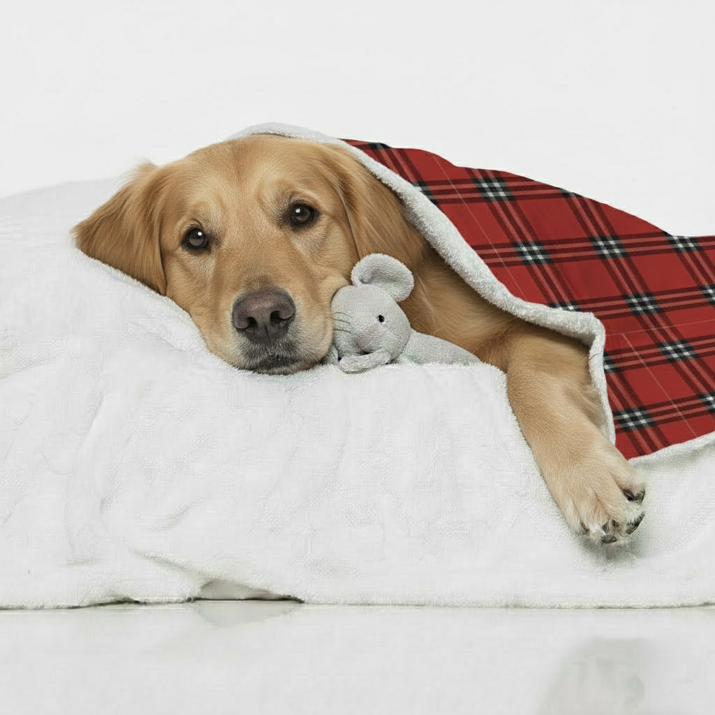 Poppy - Cozy Dog Blanket