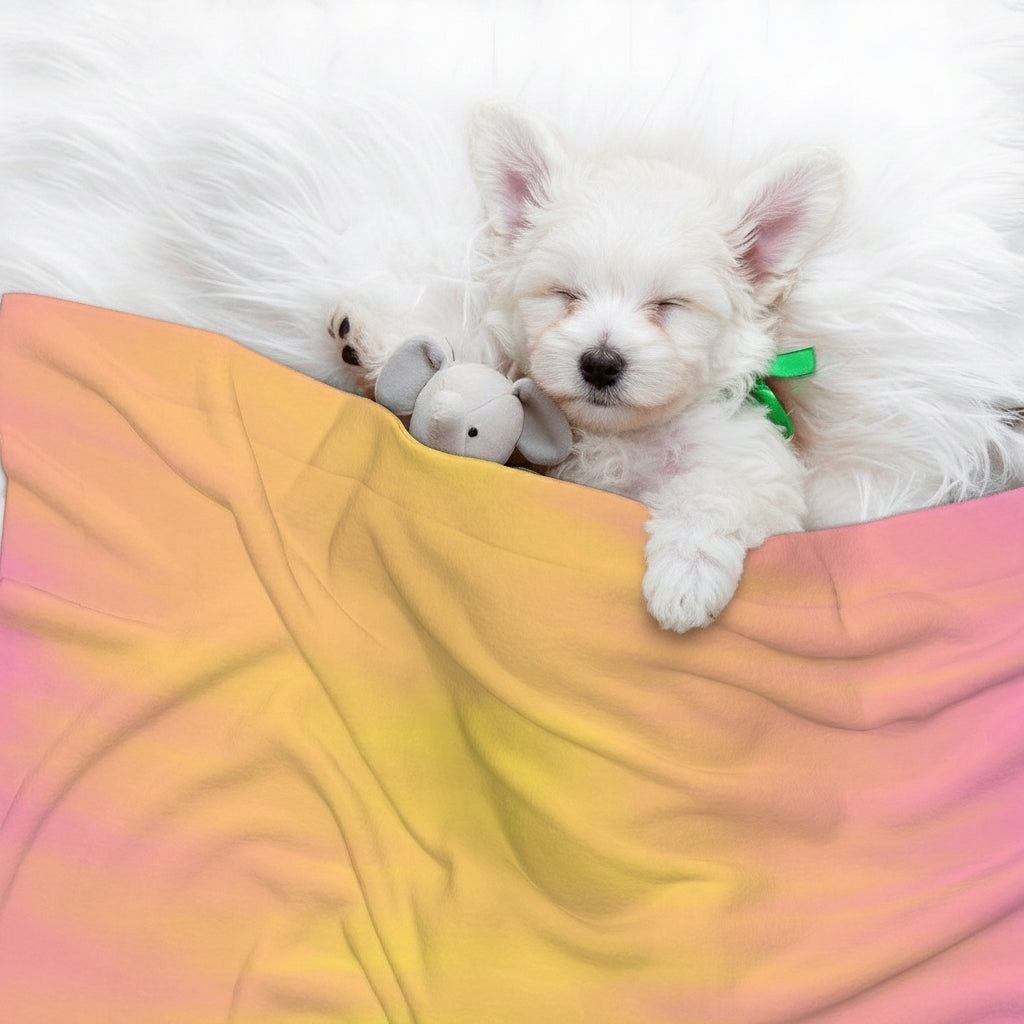 Molly - Cozy Dog Blanket