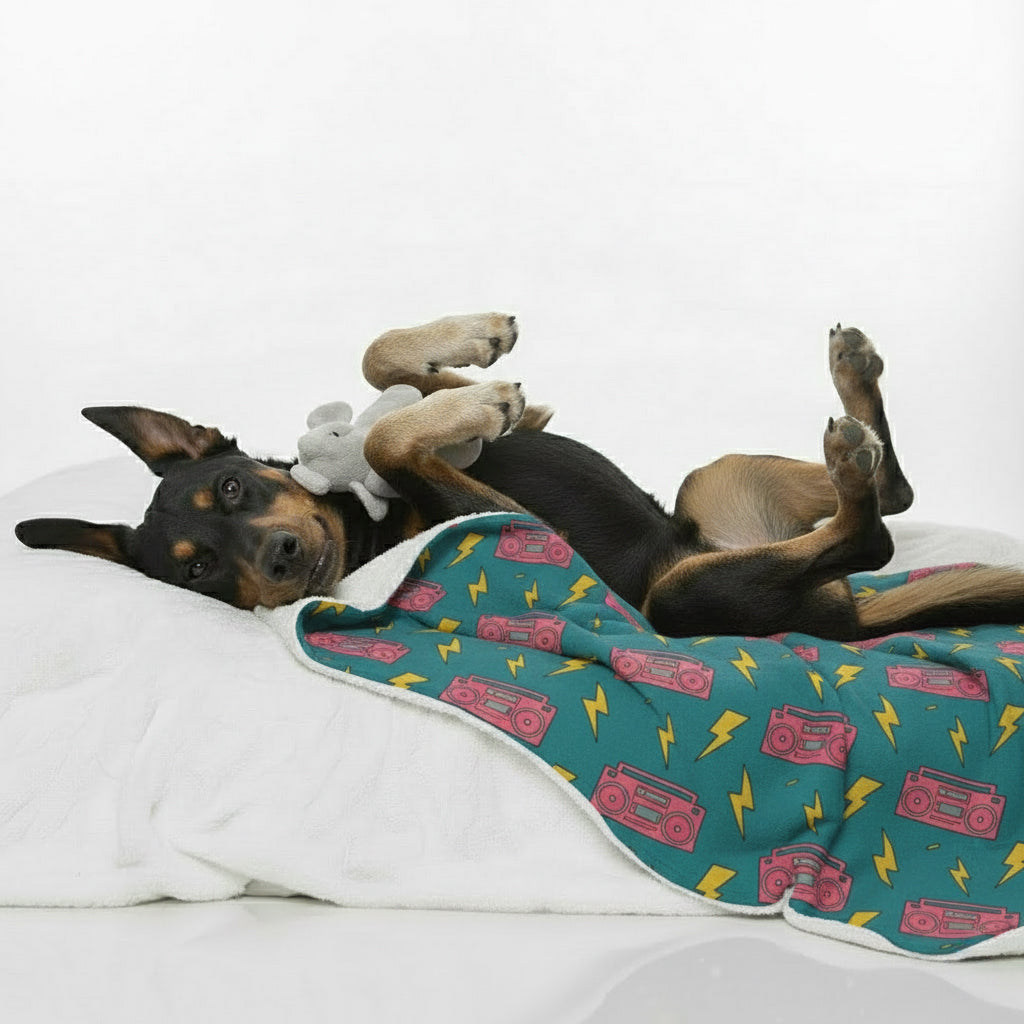 Rufus - Cozy Dog Blanket