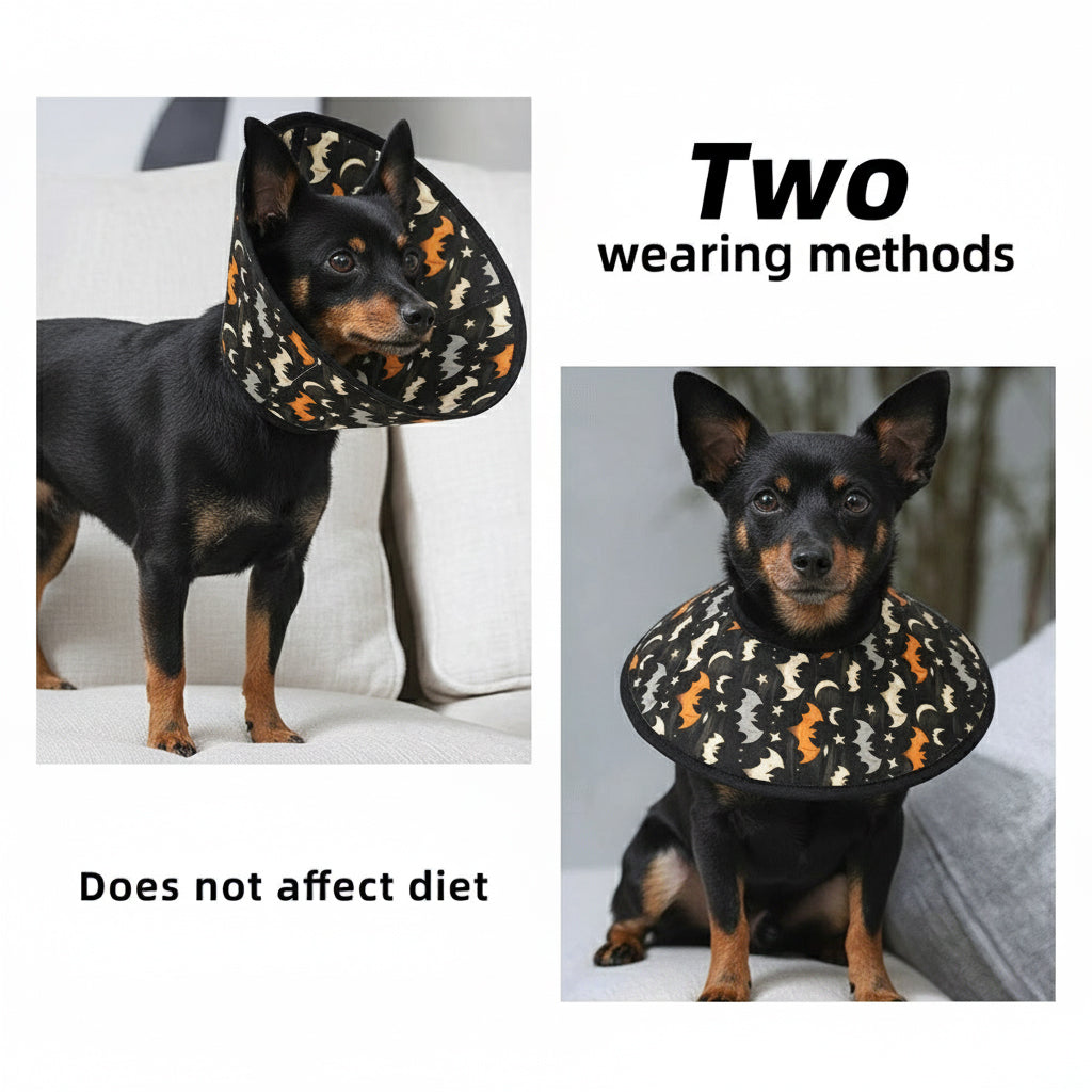Zoya - Soft Dog Cone & Elizabethan Collar