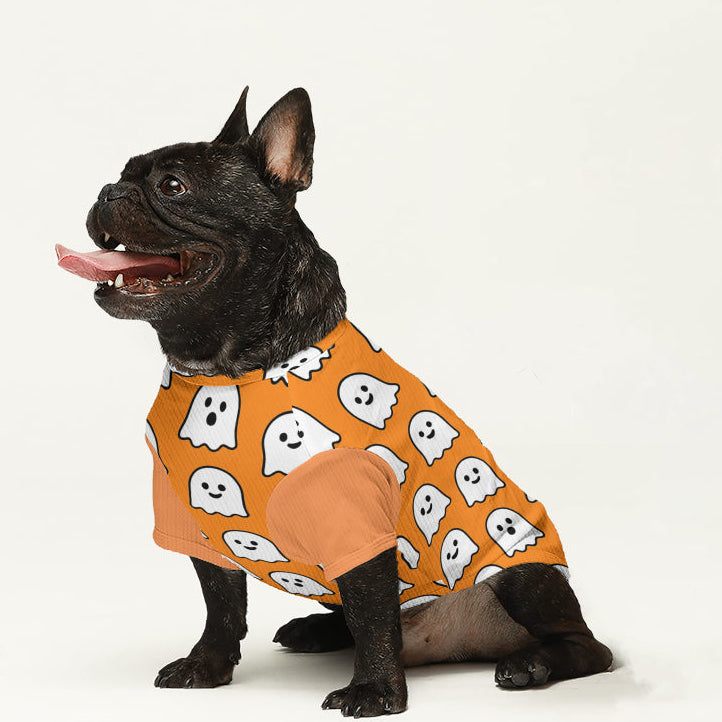 Repper - Dog Wool  Sweater