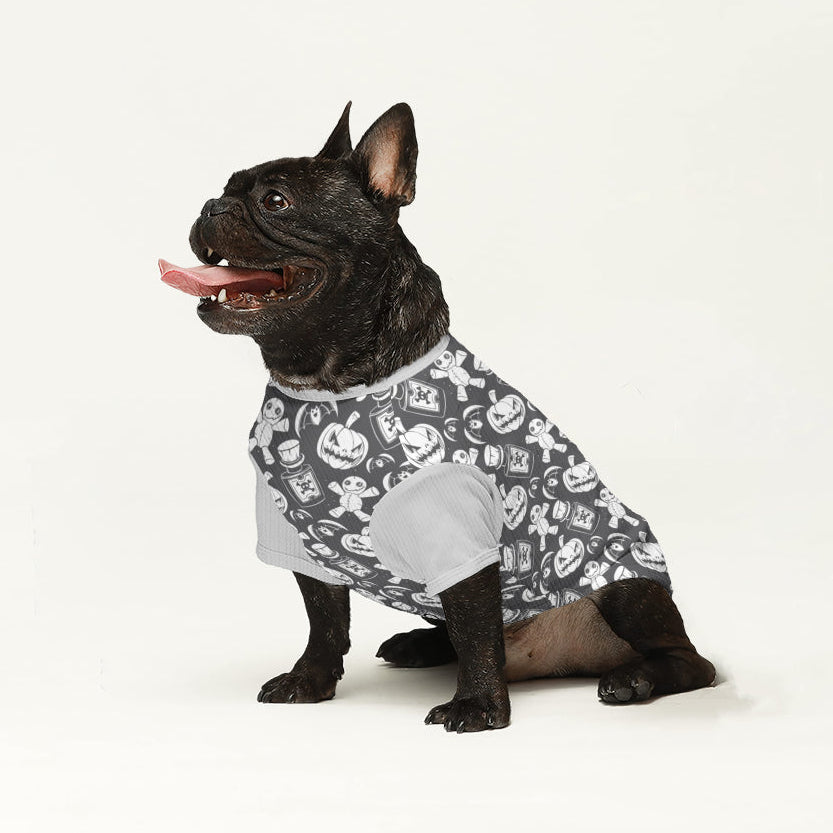 Closy - Dog Wool Sweater