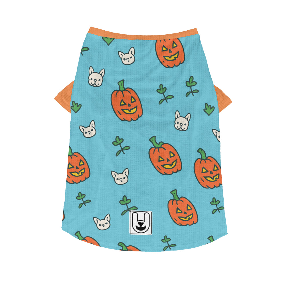 Sunny - Dog Wool Sweater