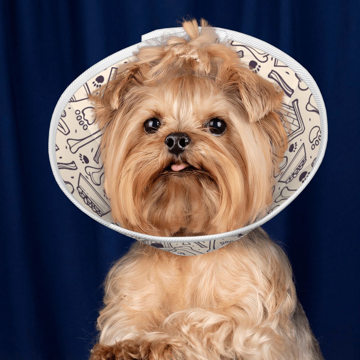 Finn - Soft Dog Cone & Elizabethan Collar