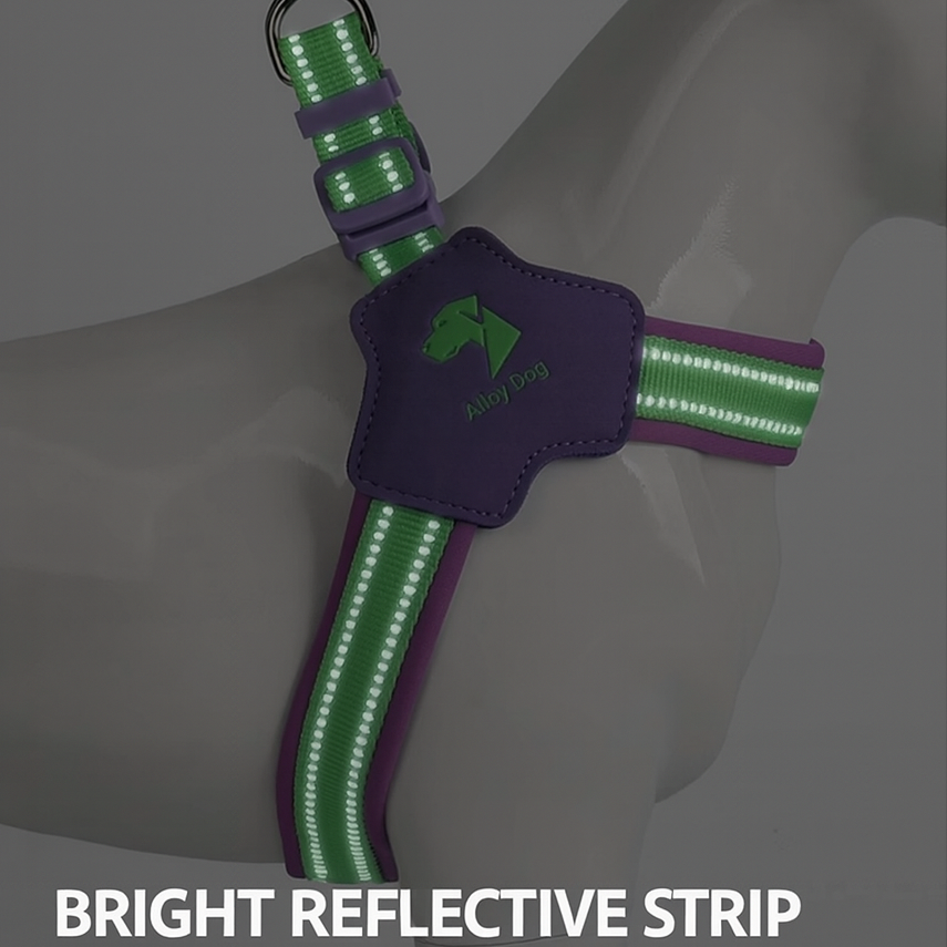 Reflective Dog Harness Leash Set