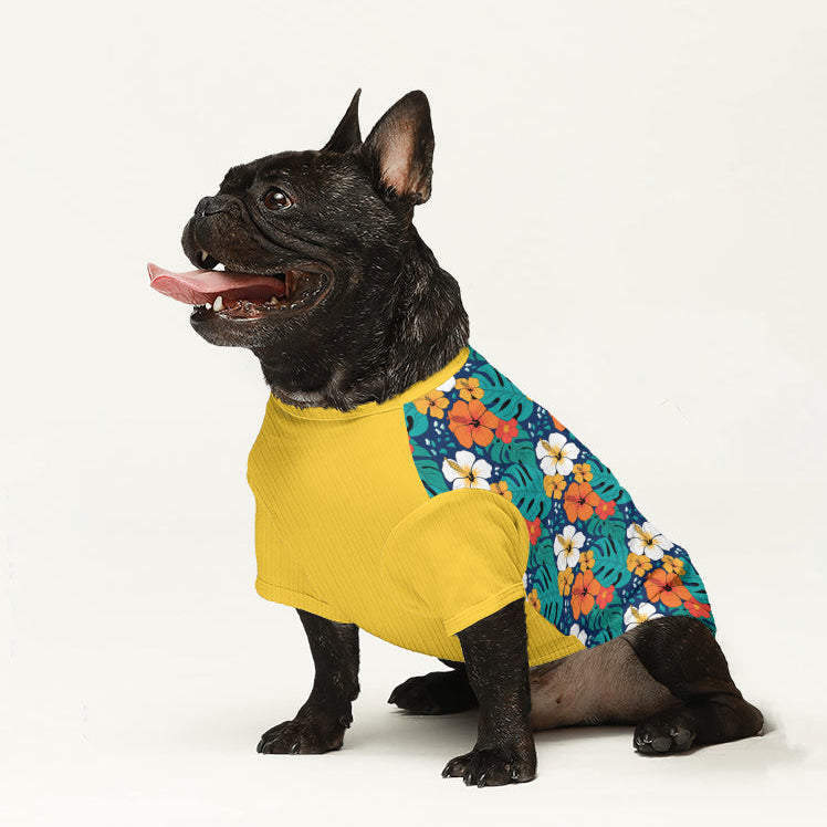 Honey - Dog Wool Sweater