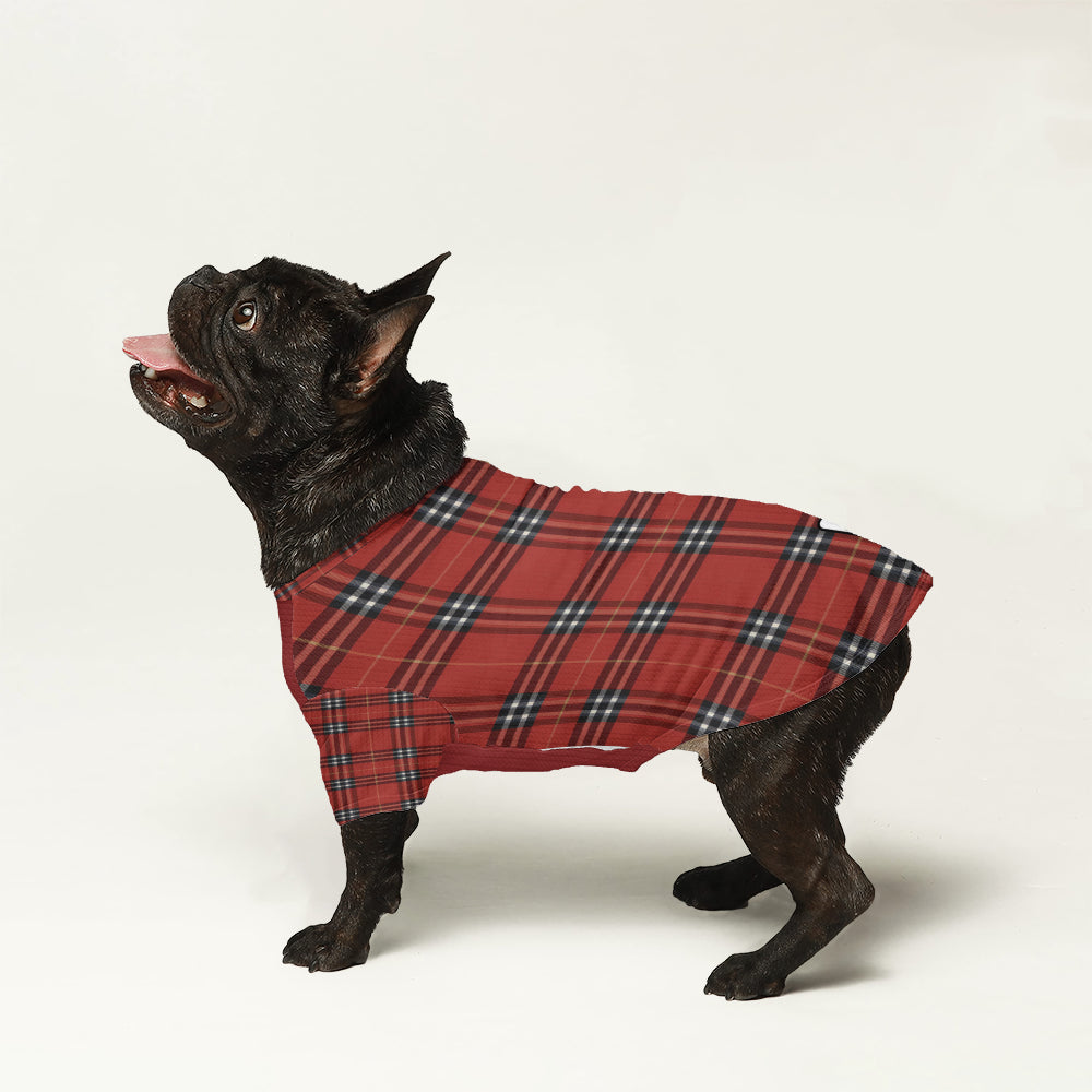 Zoey - Dog Wool Sweater
