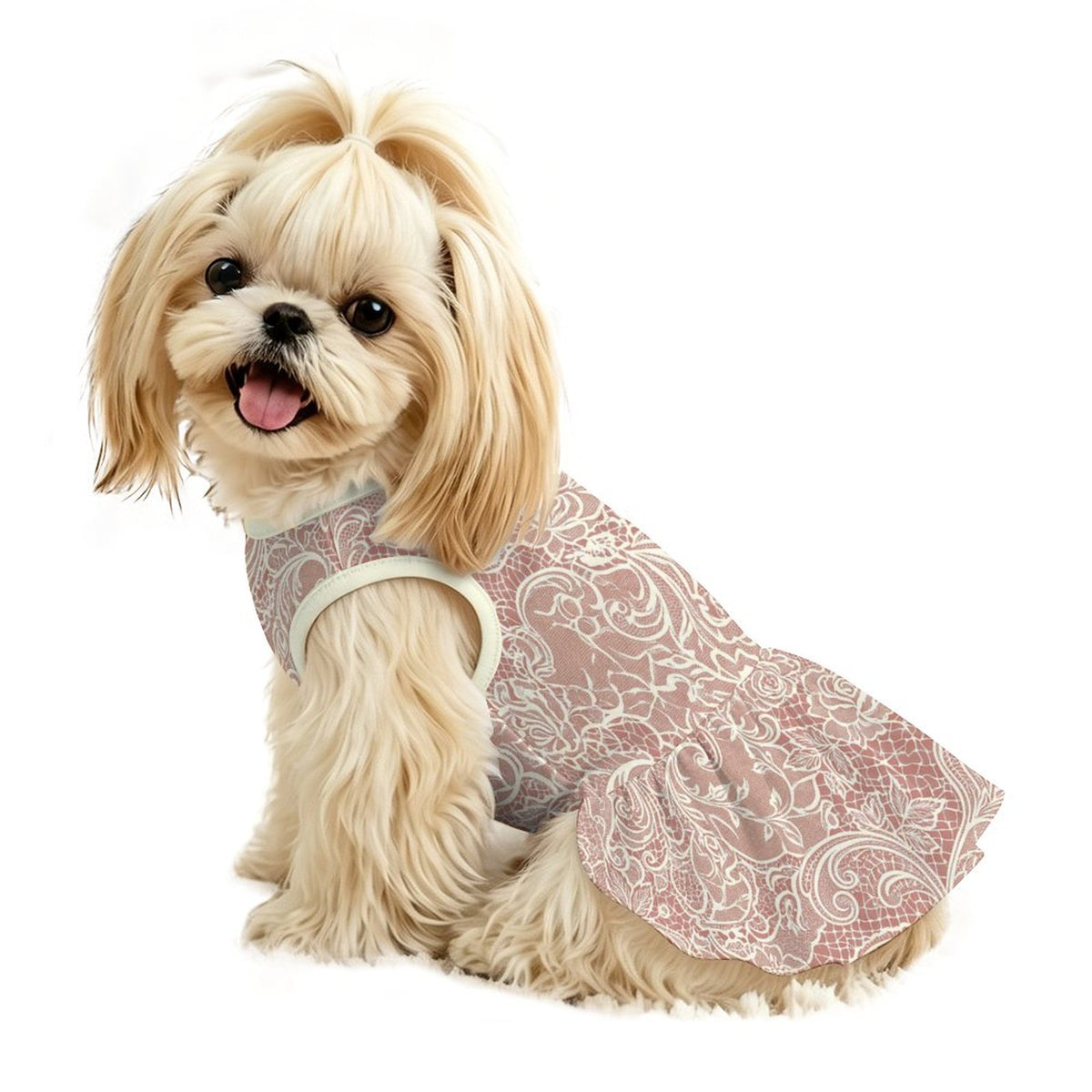 Vintage Floral Lace Small Dog Ruffle Dog Dress