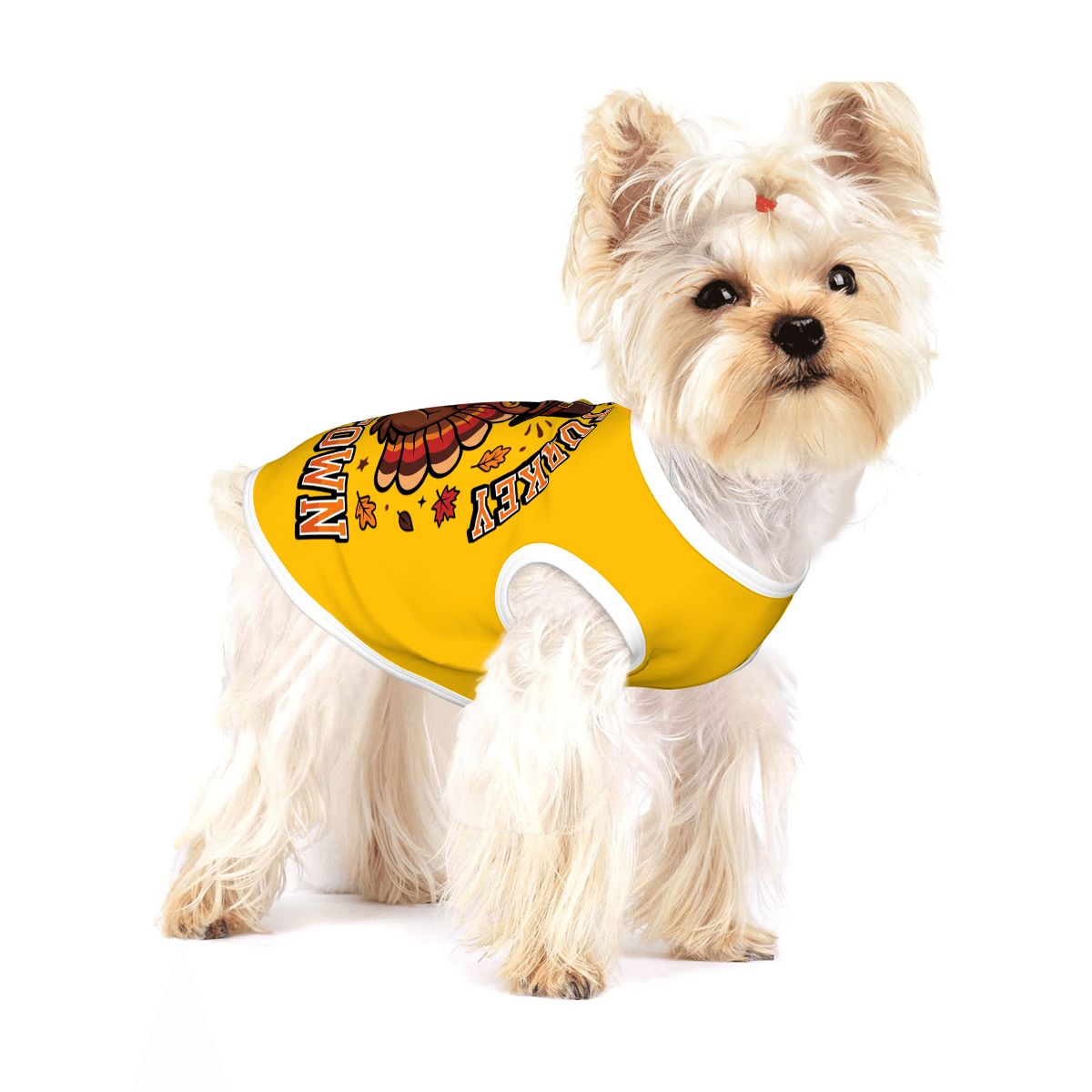 Coolest Turkey in the Town Small Dog Shirt