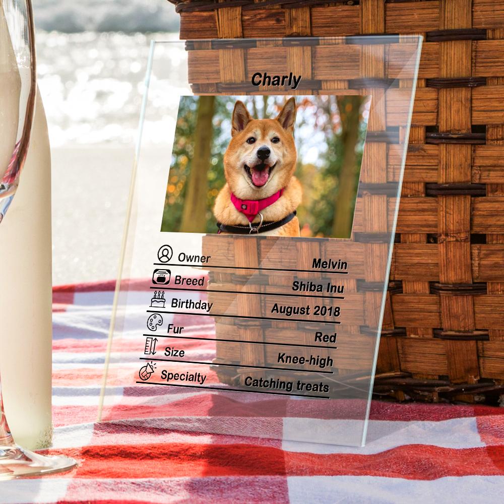 Personalized Acrylic Pet Plaque – Custom Dog Lover Gift