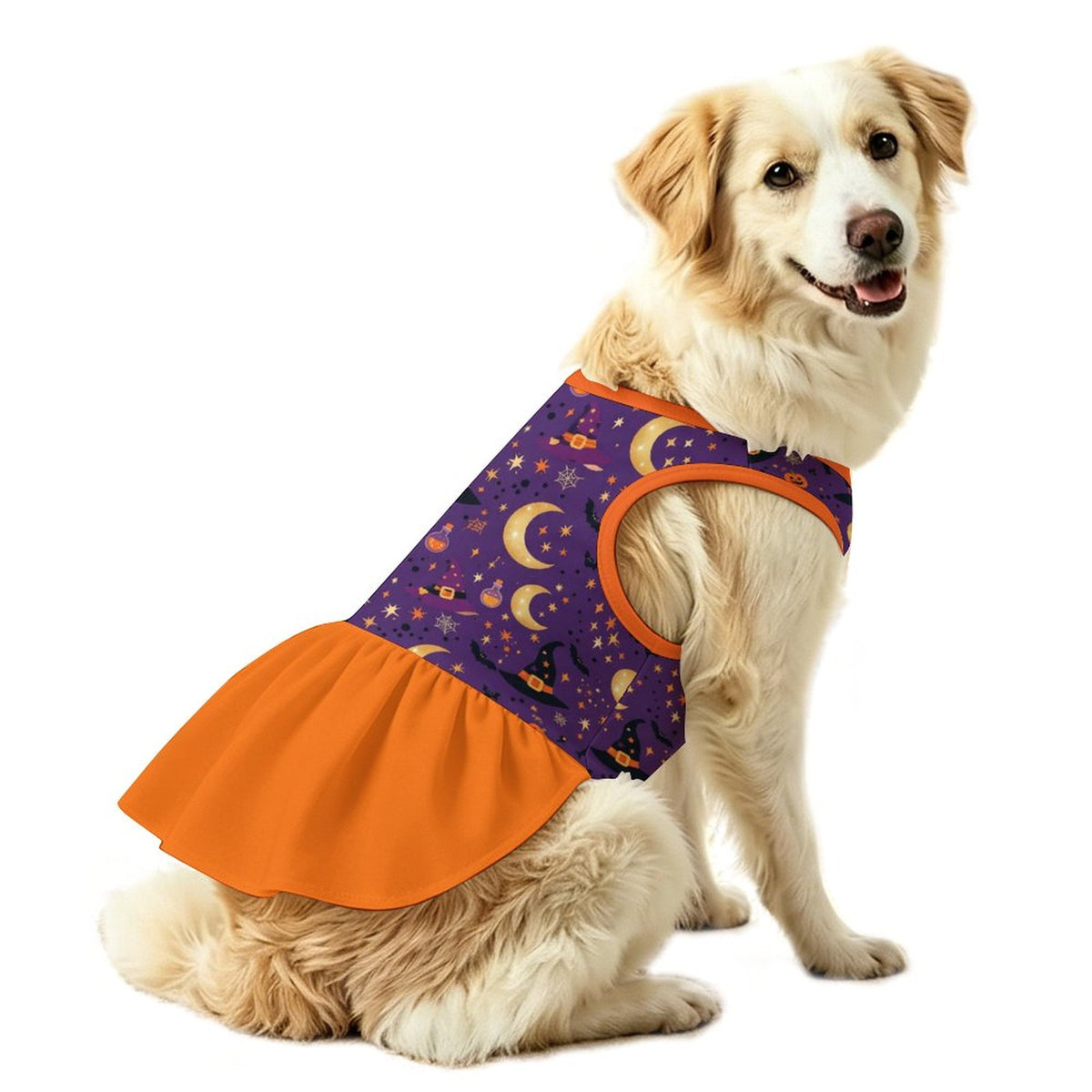 Halloween Witch Pumpkin Large Dog Ruffle Dog Dress