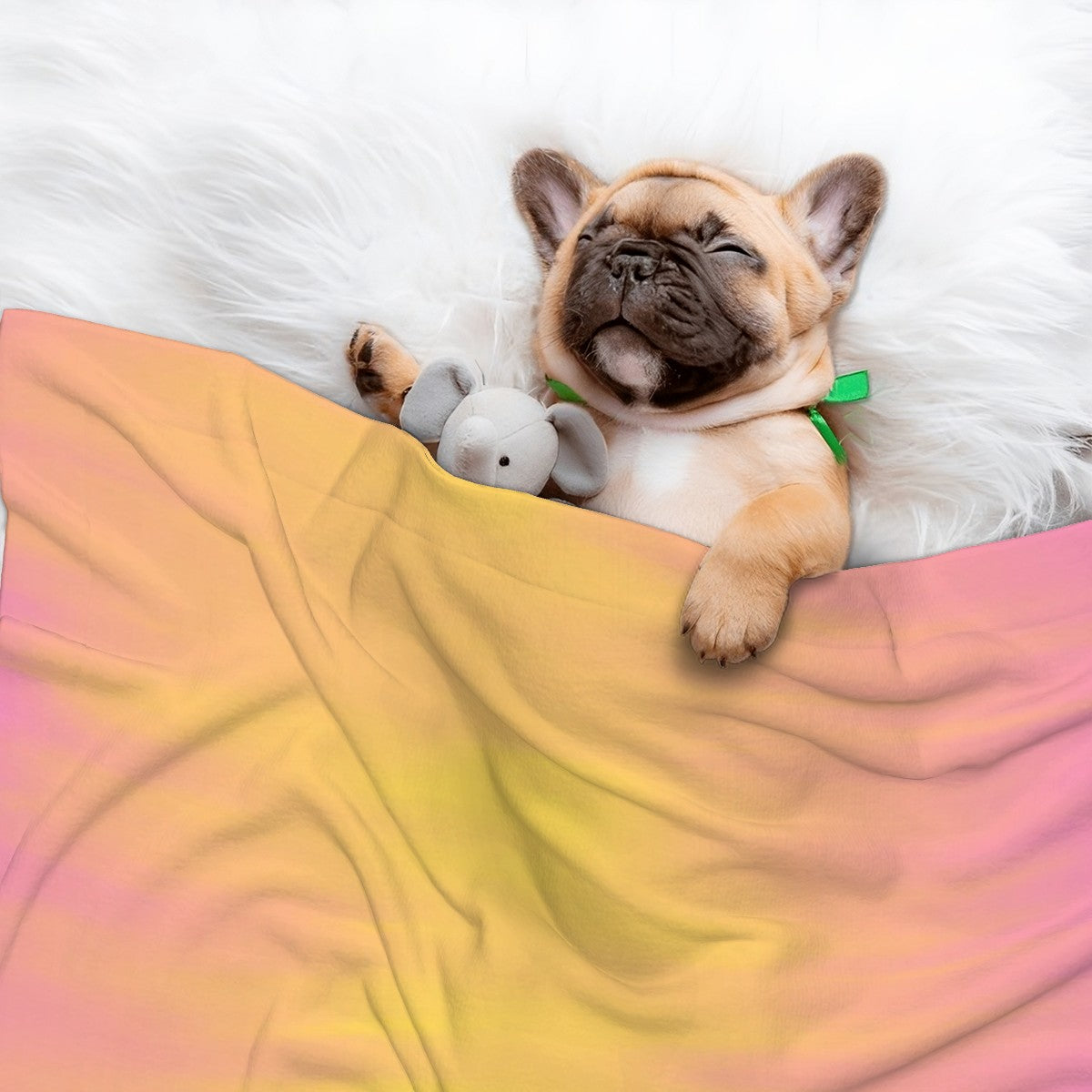 Molly - Cozy Dog Blanket