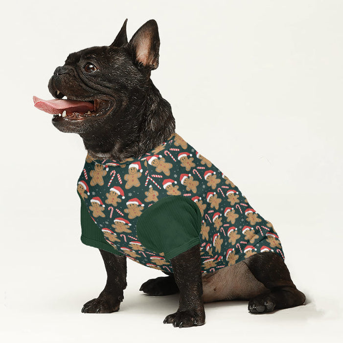 Romeo - Dog Wool Sweater