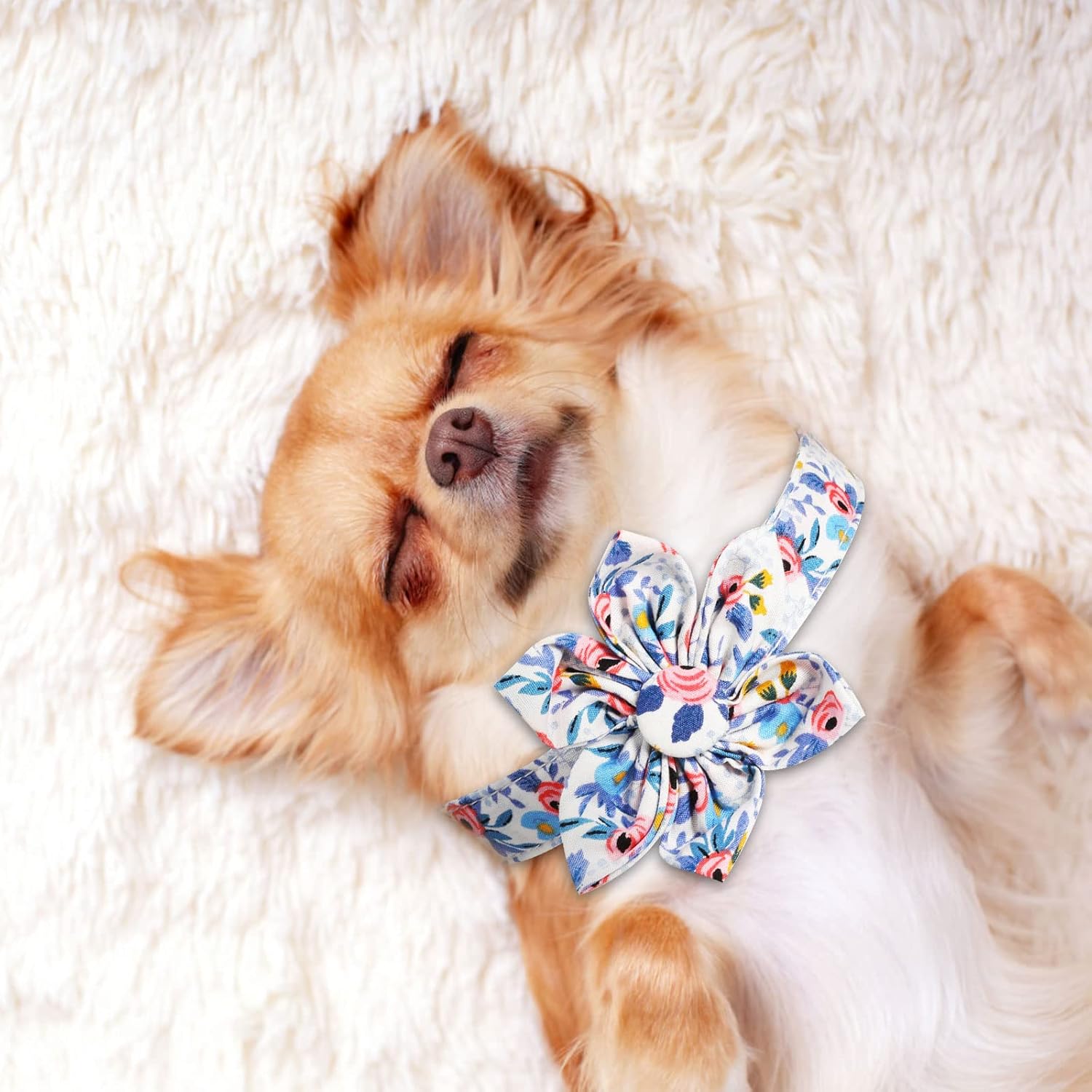 Flower Decorative Dog Collar Leash Set