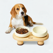Ceramic Double Bowls with Wooden Stand