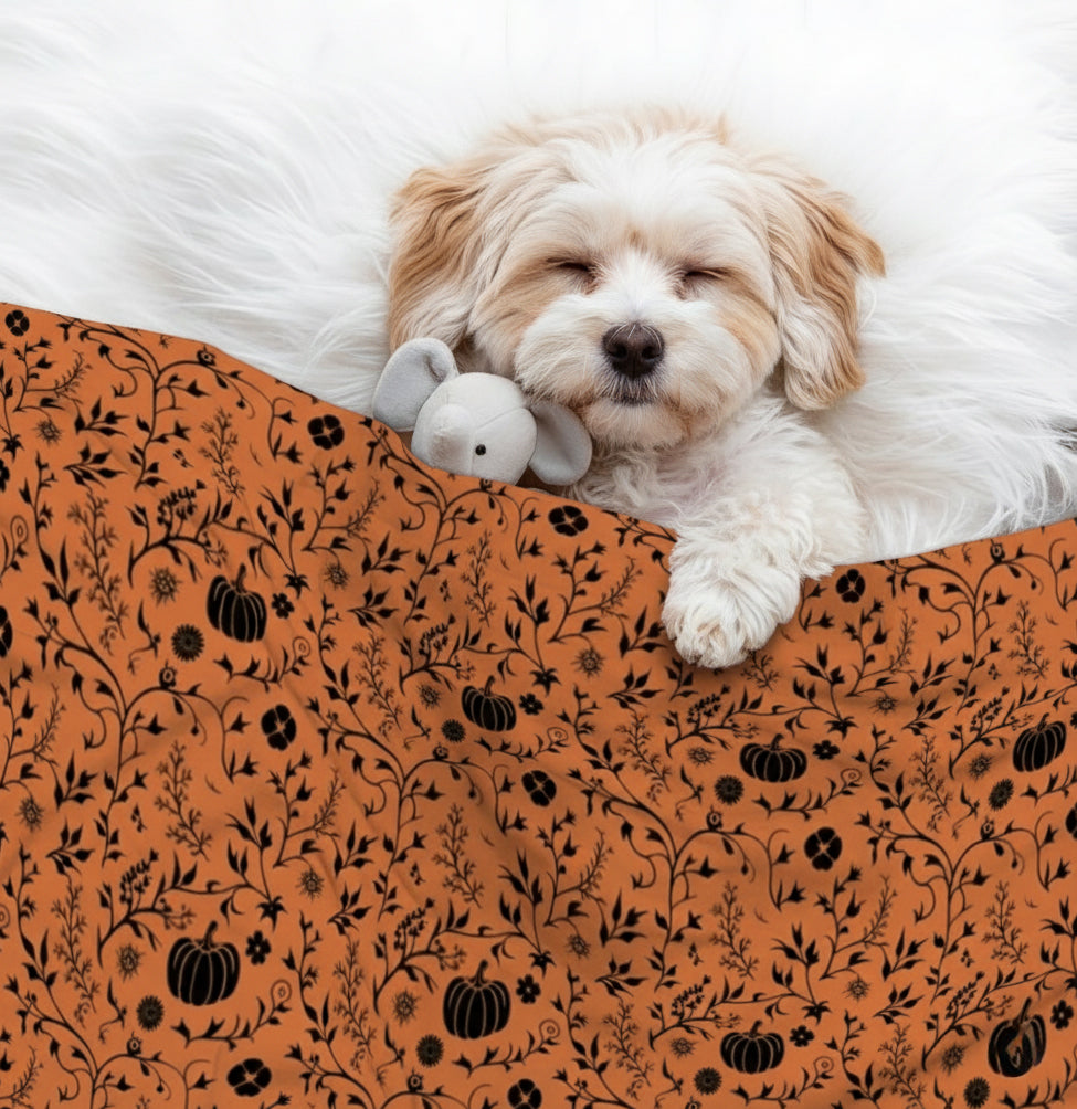 Nova - Cozy Dog Blanket