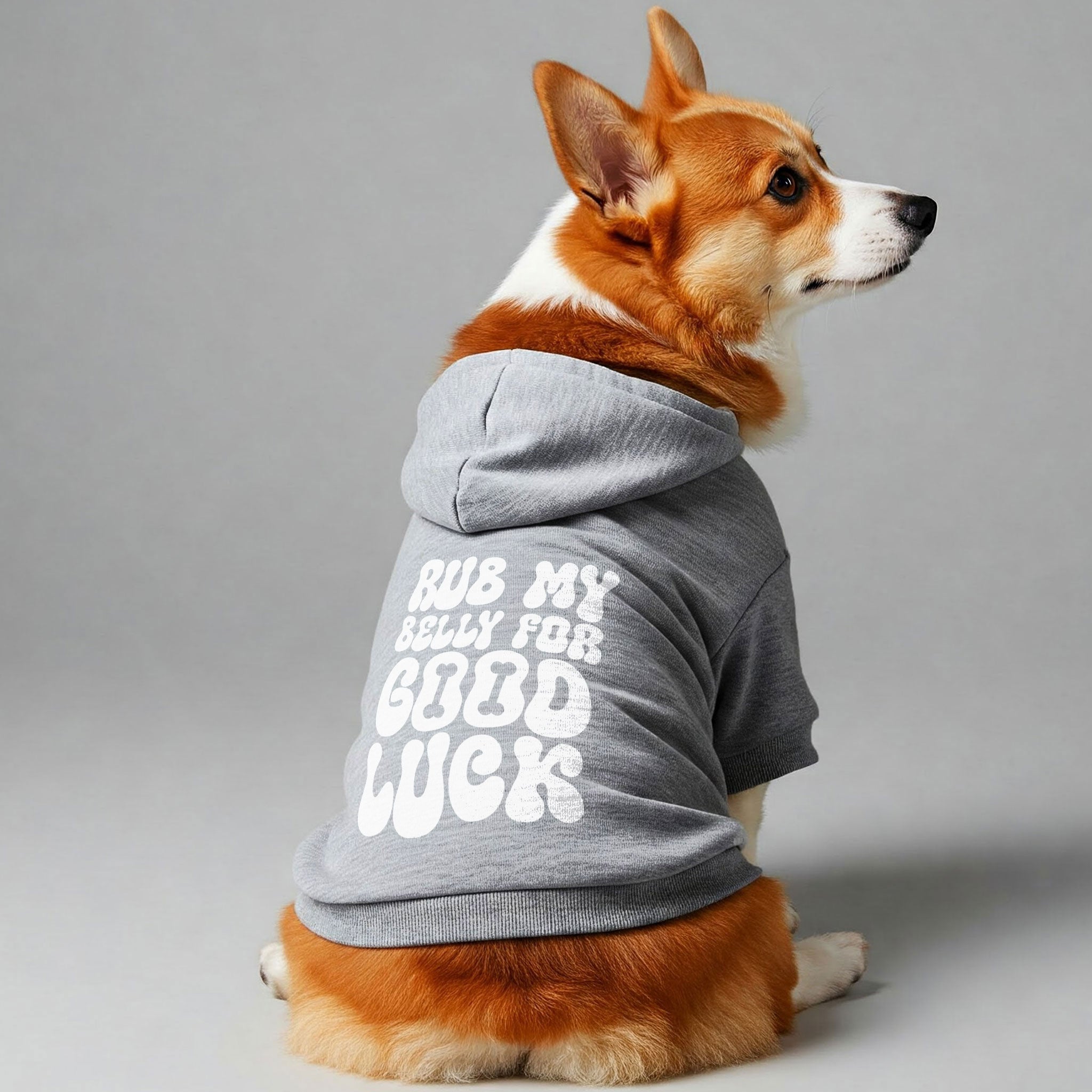 Rub My Belly for Good Luck – Dog Hoodie – Dog Clothes
