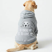 Labrador wearing a 'To Know Me Is to Love Me' hoodie