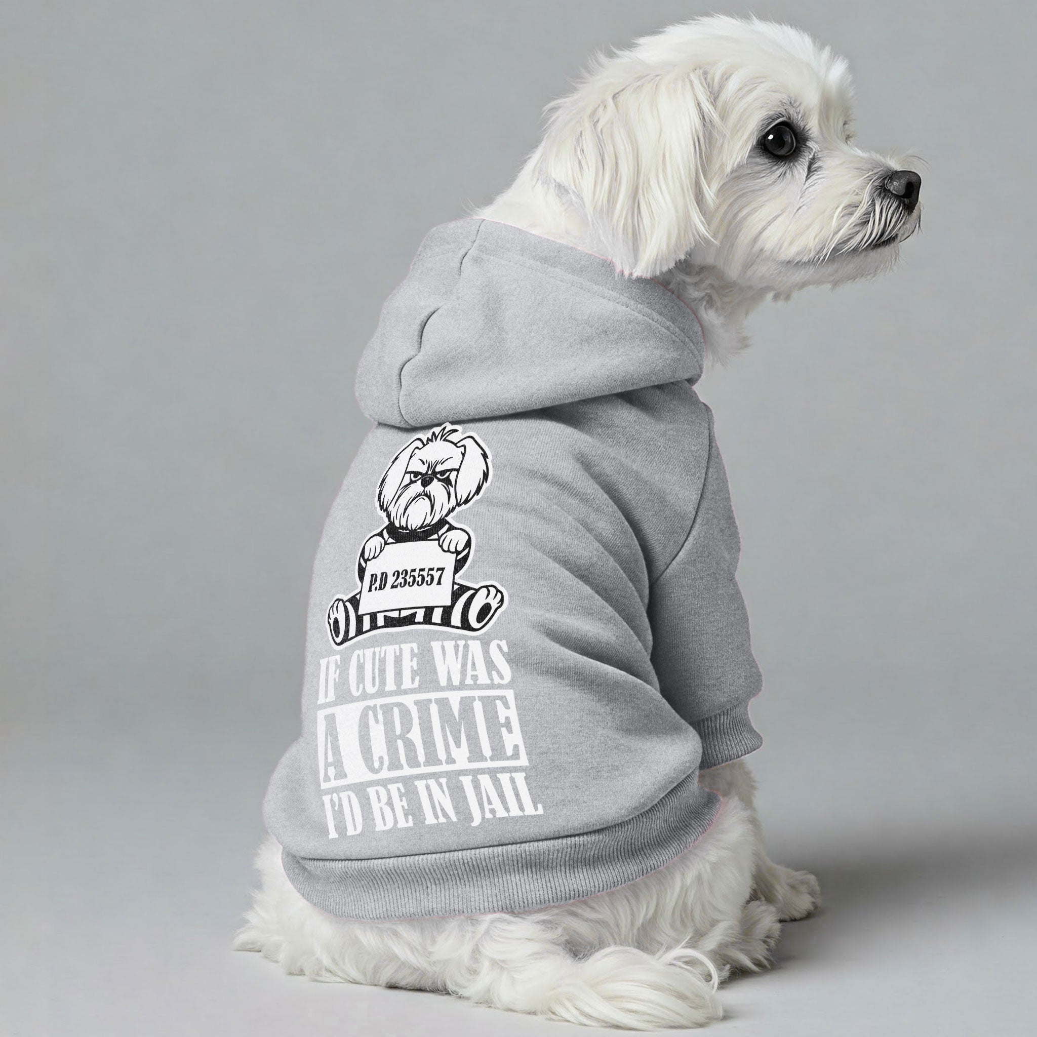 If Cute Was a Crime, I’d Be in Jail - Maltese Dog Hoodie