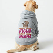 Labrador wearing an 'I'm Never Wrong' hoodie