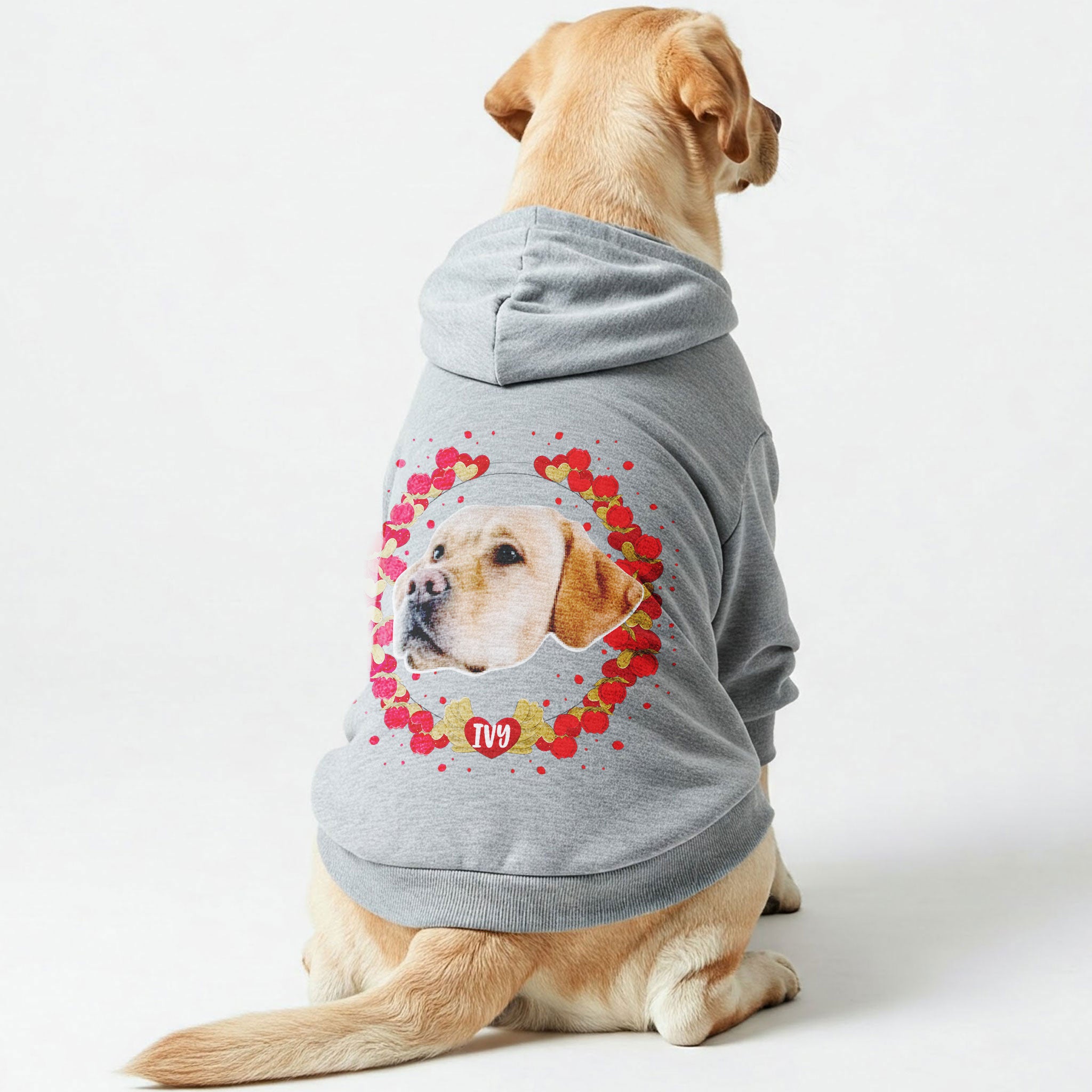 Hearts - Personalized hoodie with your dog’s name and Face– dog hoodie – dog clothes