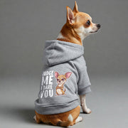 Chihuahua wearing a 'Judge Me, I Dare You' hoodie