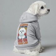 Maltese dog wearing an 'Always by Your Side' hoodie