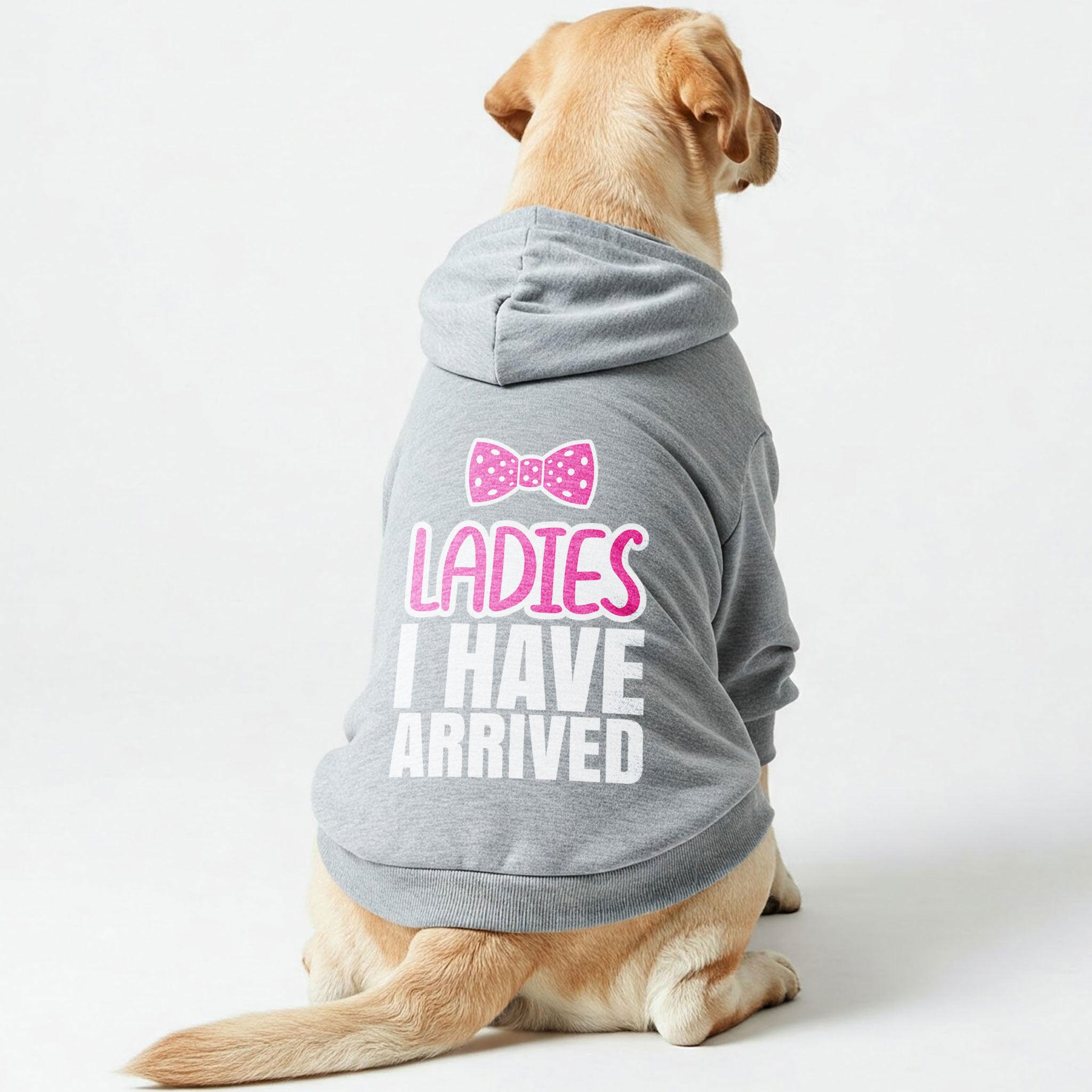 Ladies I HAVE ARRIVED – Dog Hoodie – Dog Clothes