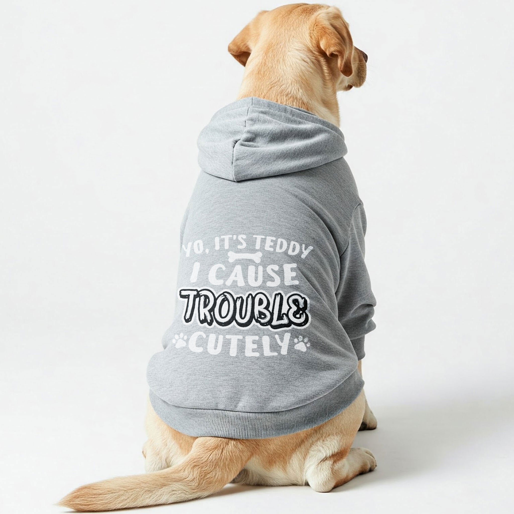 Yo, it’s Teddy. I cause trouble... cutely - personalized hoodie with your dog name – dog hoodie – dog clothes