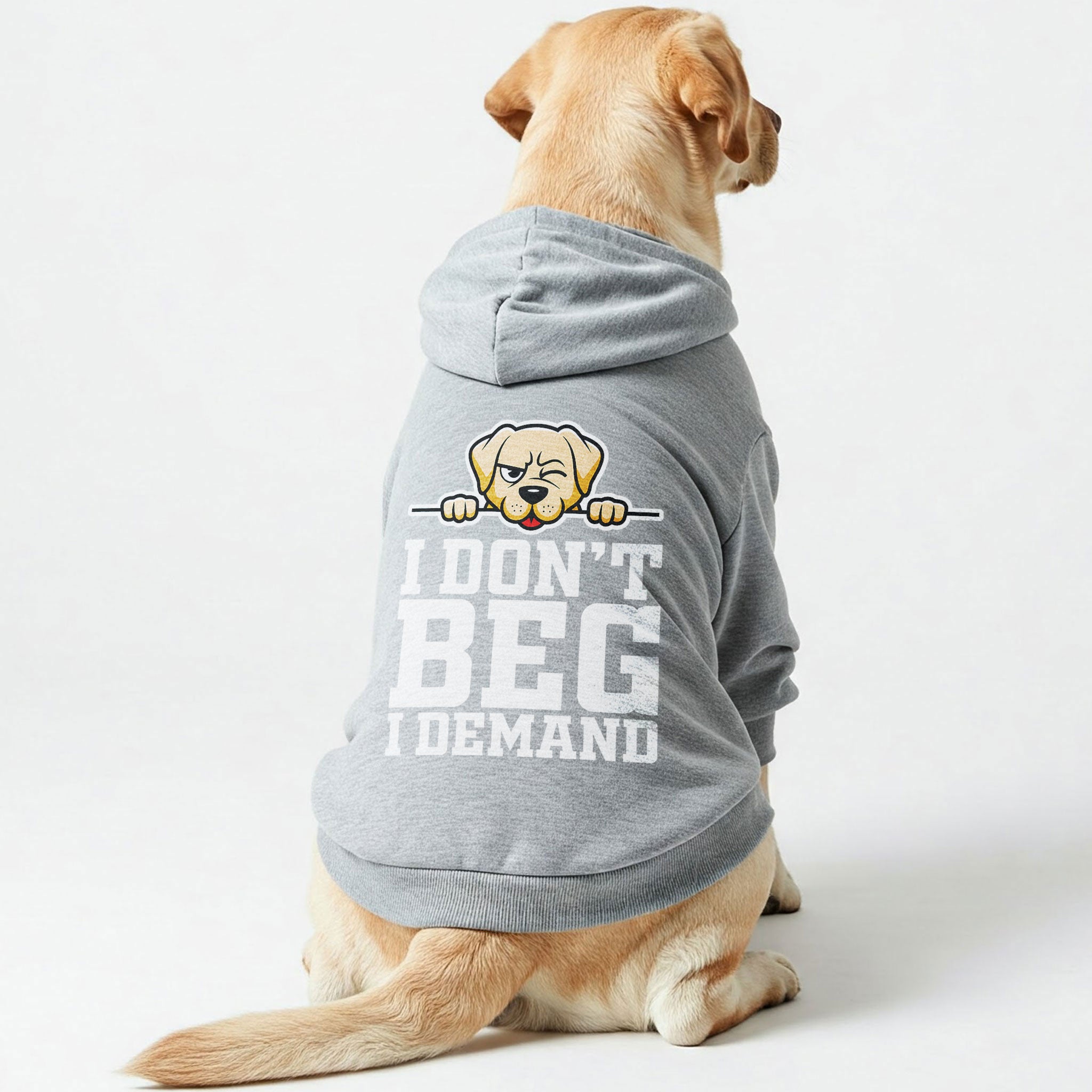 I don’t beg… I demand - Labrador Hoodie - Dog Clothes