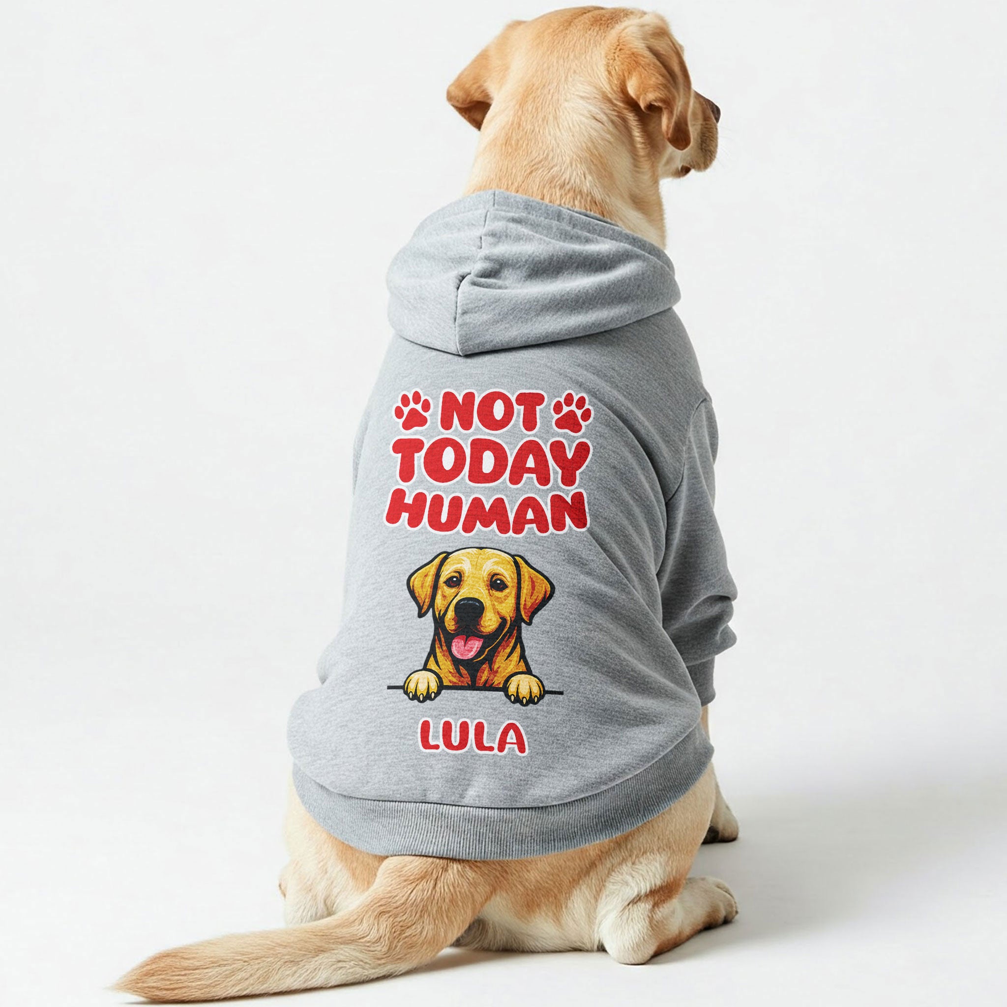 NOT TODAY HUMAN- personalized hoodie with your dog’s name and breed – dog hoodie – dog clothes