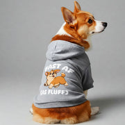 Corgi wearing a 'Fast AF (As Fluff)' hoodie