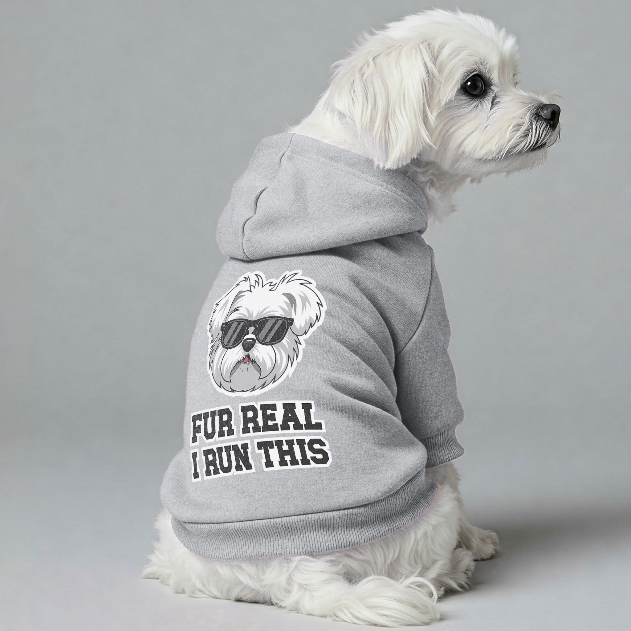 Fur Real, I Run This - Maltese Dog Hoodie