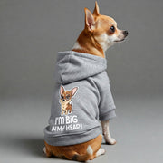 Chihuahua wearing an 'I'm Big, in My Head' hoodie