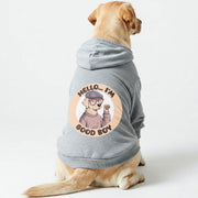 Labrador wearing a 'Hello, I'm Good Boy' hoodie