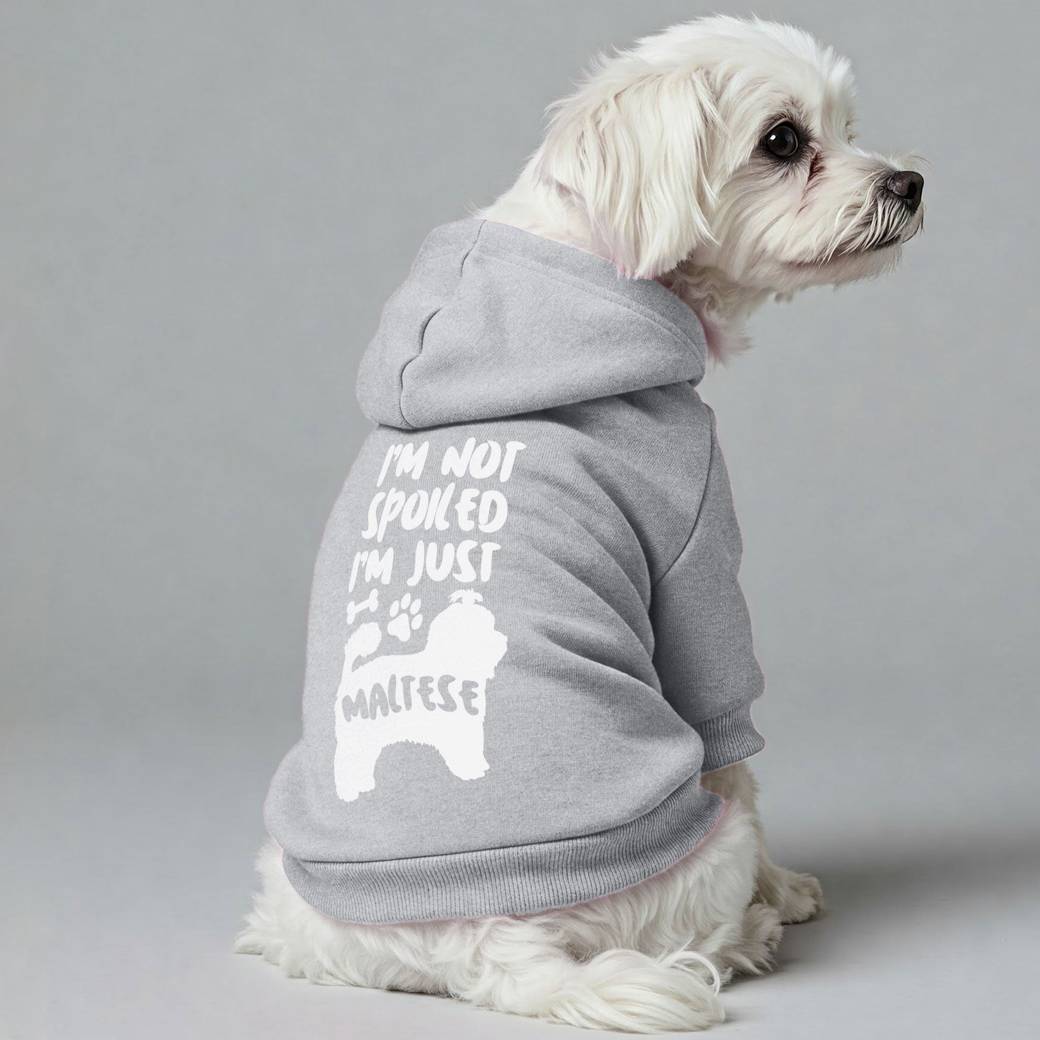 I’m Not Spoiled, I’m Just Maltese - Maltese Dog Hoodie