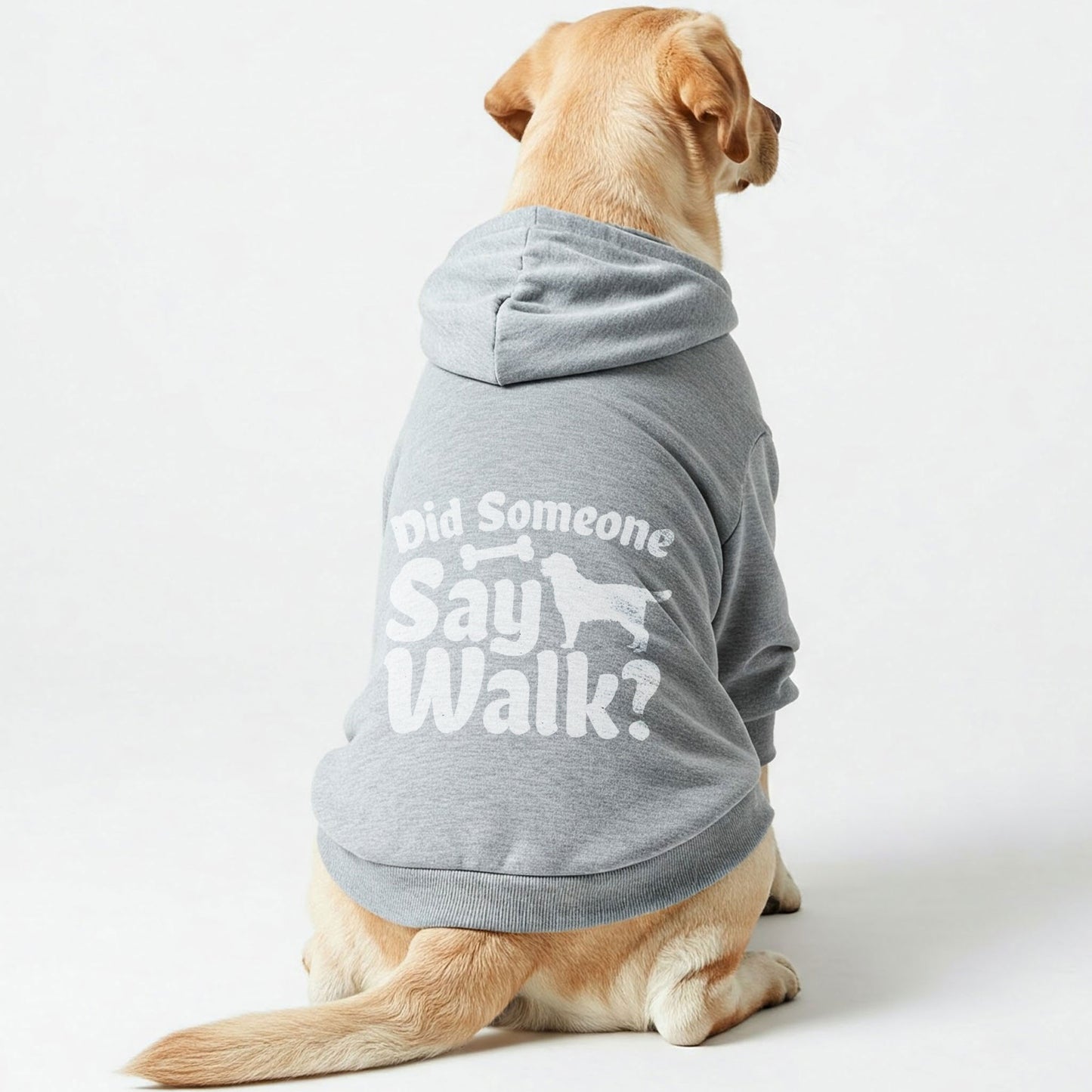 Did Someone Say Walk? - Labrador Hoodie - Dog Clothes