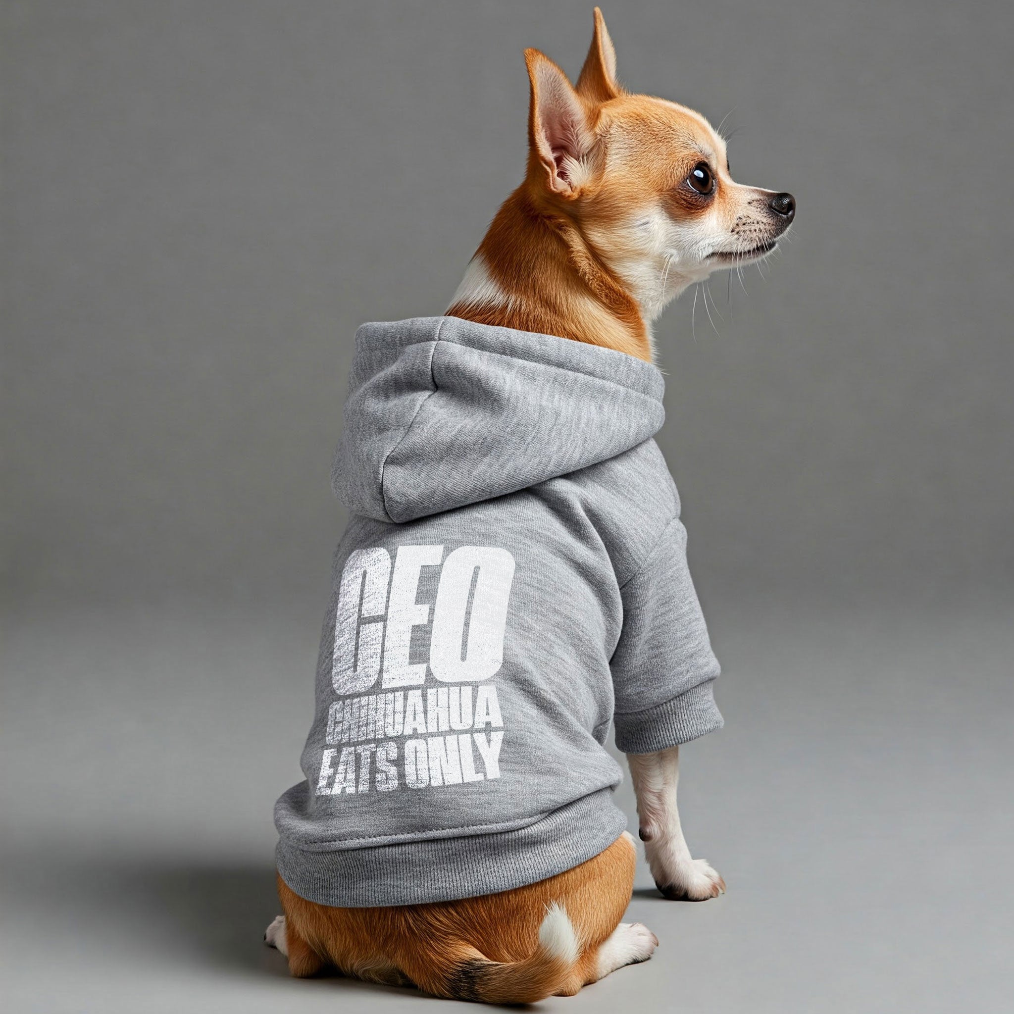 CEO: Chihuahua Eats Only - Chihuahua Dog Hoodie